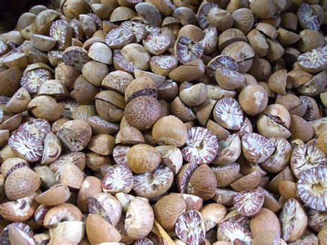 All About Nutmeg .